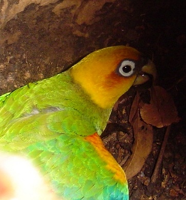 Foto 4